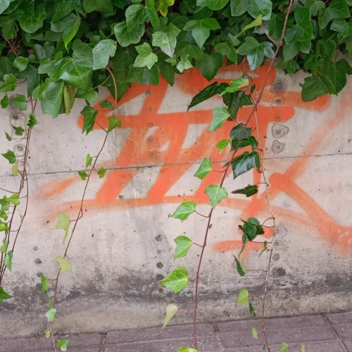 160 Sin Limpiar | LIMPIEZAS SOLUTIGRAF S.L.